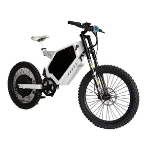 罗恩3000w 5000w 8000w 12000w enduro ebike低价电动山地车厂家促销价格