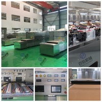 Nieuwe Magnetron Apparatuur Industrieel Voedsel Groen Blad Magnetron Tunnel Droger Dehydrator Machine Voor Het Drogen Van Lotusblad