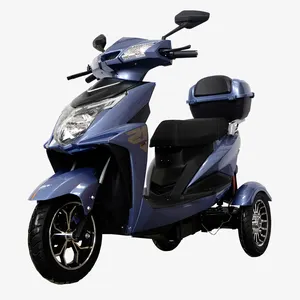 Elektrische Driewielige Fiets 3-wielige Elektrische Motorfiets Vervoert Goederen