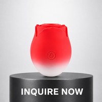 Vibrateur Rose Mini à Succion 10 Fréquences Couleurs Dégradées Stimulateur Clitoridien Point G Jouets pour Adultes Masseur pour Femmes CE RoHS