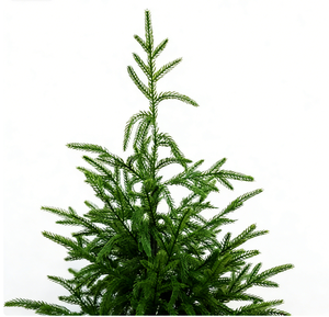 Sapin de Noël artificiel <span class=keywords><strong>en</strong></span> épicéa, 180 cm, <span class=keywords><strong>en</strong></span> <span class=keywords><strong>pot</strong></span>, vert, écologique, personnalisé, de haute qualité pour la décoration de la maison - Product Image 3