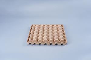 Engh-Tabla <span class=keywords><strong>de</strong></span> ardboard egradable, 30 Cells - Product Image 5