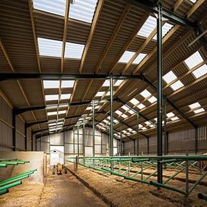 Diseño de estructura de acero prefabricada Almacén Pequeña granja Taller Cobertizo para vacas - Product Image 4