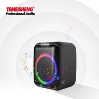 Temeisheng, altavoces de fiesta de 8 pulgadas, superpotentes, al aire libre, mini, multifunción, micrófono de karaoke inalámbrico, altavoz de caja de fiesta