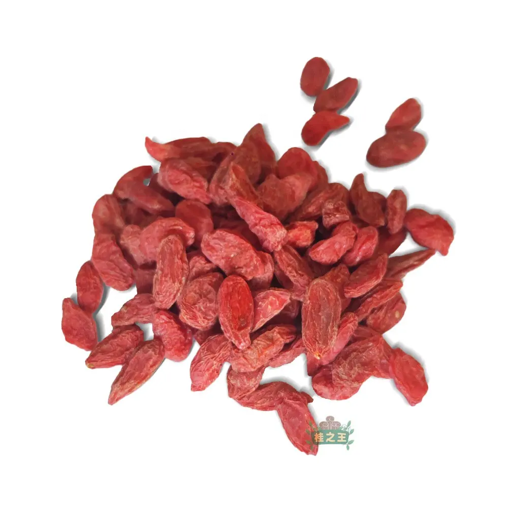 Ningxia Goji Berry nuovo raccolto dalla cina