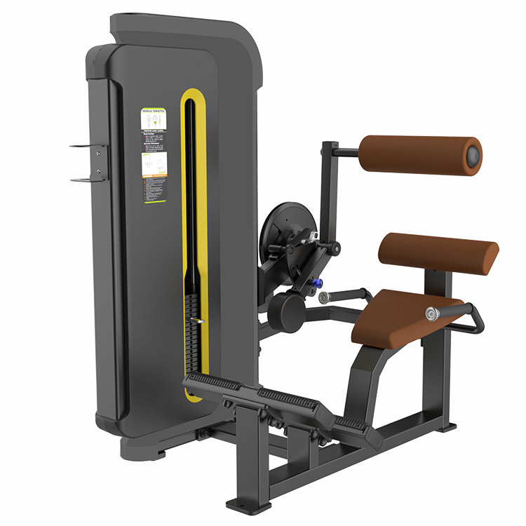 2020 Dhz Fitness Factory Directly Supply Gym Equipment Back Extension  Machines for Sale