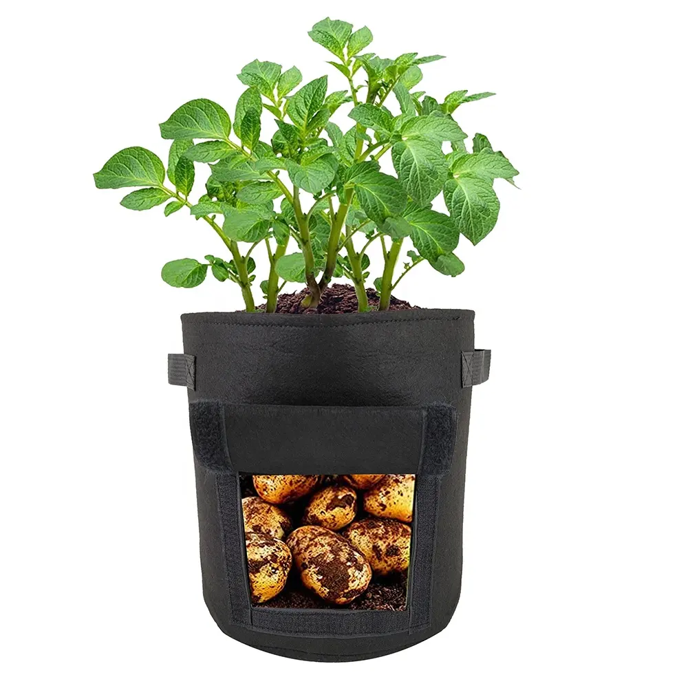 Eco Friendly Customized 5 / 7 / 10 Gallon Felt Tomato Potato Planting Pots Growing Bags With Flap