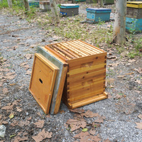 Nouvelle ruche Langstroth Witbee à 2 couches et 10 cadres, en sapin de Chine, épaisseur 20 mm, avec boîtes super moyennes enduites de cire, pour usage en apiculture, garantie 2 ans