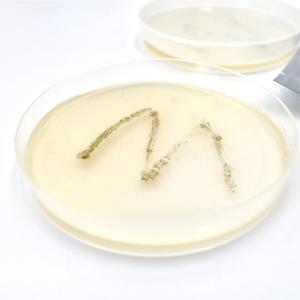 Kit d'expériences scientifiques de <span class=keywords><strong>chimie</strong></span> pour enfants, camp de formation de détective amusant, faire semblant d'être un détective - Product Image 4