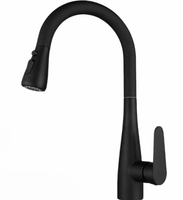 Robinet de cuisine extractible en acier inoxydable, mitigeur chaud/froid à poignée unique avec douchette et cartouche céramique pour évier de cuisine moderne