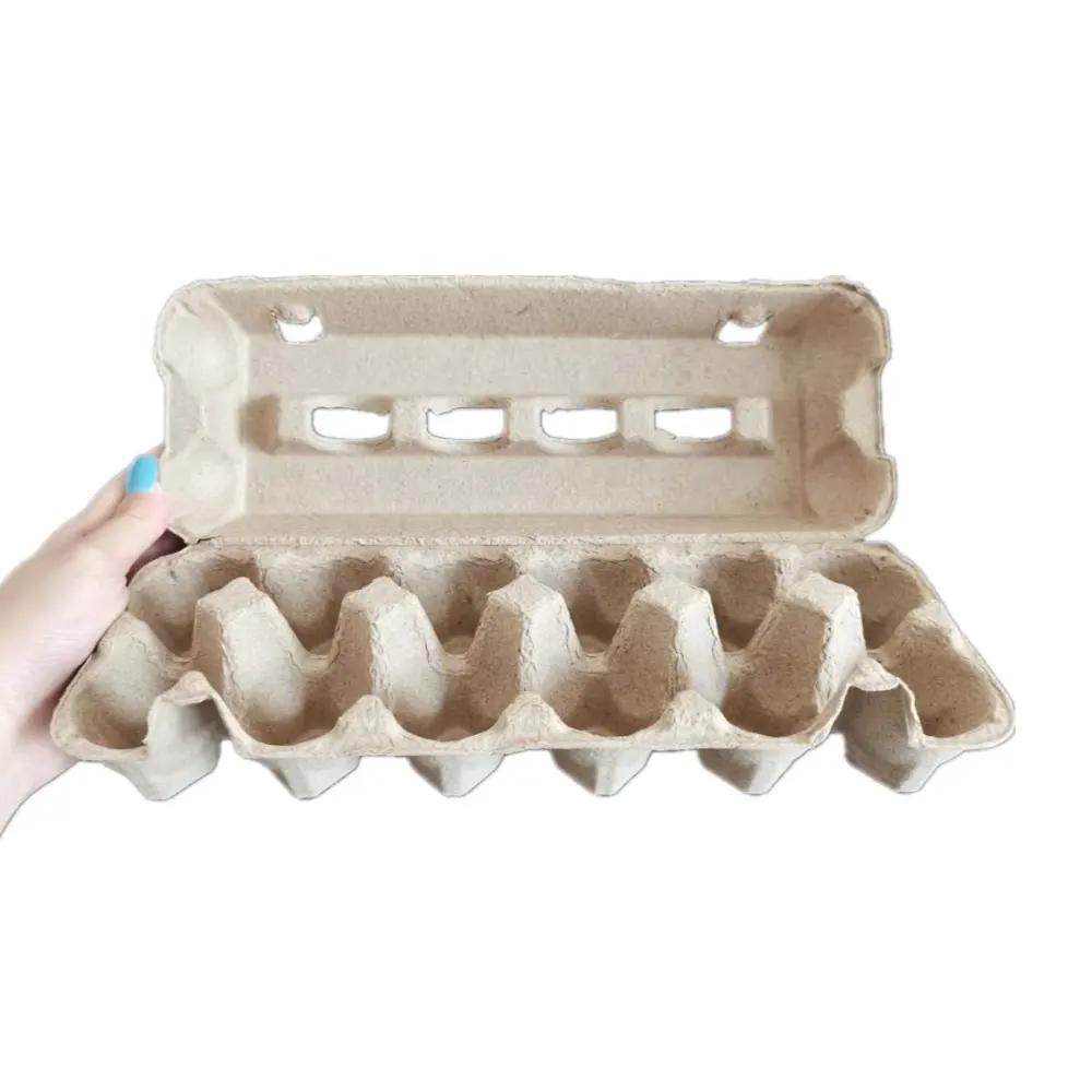 Paper Pulp Egg Carton Biodegradable Pulp Fiber 12-pack Egg Tray