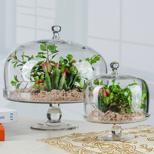 Customized Aristo <strong>Glass</strong> <strong>Cake</strong> Bell Jar, Pedestal <strong>Cake</strong> <strong>Dome</strong> <strong>Glass</strong> - Product Image 2