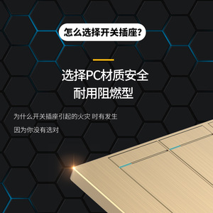 International Electric H8 118 Type Switch Socket Single Position 16A Brushed Gold With Usb Port - Product Image 3