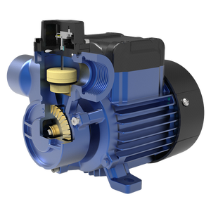 0,25kw 1/3hp Lage Ruis Automatische Booster Pomp Voor Dak Watertank Druk Met Stromingsschakelaar - Product Image 2