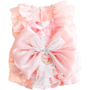 Vestido de Princesa para Perro, Color Rosa, Poliéster, Estilo Lolita, Ropa para Mascotas Pequeñas, Primavera, Verano, Falda para las Cuatro Estaciones - Product Image 5