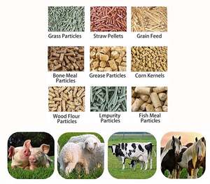 Máquina Granuladora de Pienso, Máquina de Molienda de Pienso para Alimentación Animal, para Pollo, Cerdo y Conejo - Product Image 3