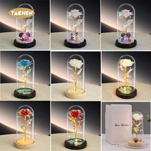 YACHEN Décorations de cadeau de fête des mères pour la Saint-Valentin de qualité supérieure Eternal Galaxy Rose Forever Rose In Glass Dome With Led Lights - Product Image 6