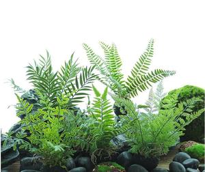 Grande Plante Artificielle Murale Décorative pour Jardinage, DIY, avec Fleurs et Fougères Artificielles pour Gazon Synthétique - Product Image 3