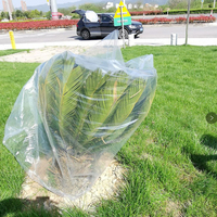 Sacs d'emballage pour vêtements en PE transparents, plats, anti-poussière, anti-odeur, anti-humidité, imprimés par gravure personnalisée, vente en gros