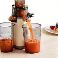 Elektrische slowjuicer-extractor Machine Hoog rendement roestvrij staal 300 ml capaciteit Vruchtensapmaker voor thuis commercieel gebruik
