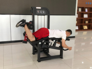 <span class=keywords><strong>Machine</strong></span> commerciale de curl et d'<span class=keywords><strong>extension</strong></span> de jambe de gymnastique - Product Image 2