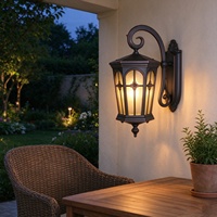 Lanterne murale extérieure rétro à LED, étanche, en alliage d'aluminium, avec verre borosilicate, AC 85-265V, pour jardin, terrasse, couloir