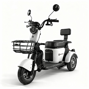Triciclo Eléctrico Mini SIGOTECH OEM de Largo Alcance con Batería de 60V, Scooter Triciclo de Ocio para Personas con Discapacidad - Product Image 2