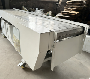 Trasportatore a Catena a Piastre in Acciaio Inossidabile per Carichi Pesanti, Capacità 200kg, per Industria Alimentare, Chimica e Trasporto di Componenti Fusi - Product Image 3