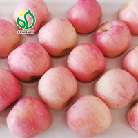 Fruit de pomme douce/pomme Gala/pomme Fuji prix 20kg/carton