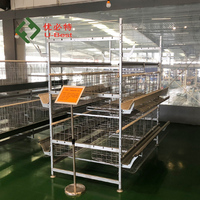 Équipement d'élevage avicole, système d'alimentation automatique, cage à poulets de type H