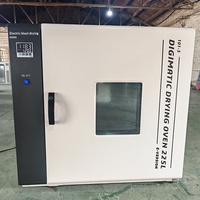Horno de Secado por Aire Caliente Industrial a Precio de Fábrica para Investigación Científica de Laboratorio, 300 Grados de Alta Temperatura, Protección IP65, 220V