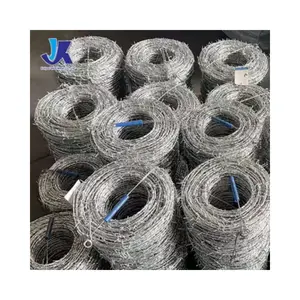 Hot-selling Iron Wire Mesh Fabricated Protective Thorn Rope