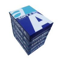 Papier de copie A4 Premium 80 g/m², 92 % de luminosité, 500 feuilles, sans enchevêtrement pour une impression fluide, résultats nettoyés pour documents et copies