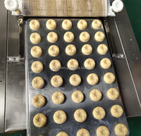 Machine à mouler rotative pour biscuits, forme personnalisée, machine à mouler rotative à rouleaux, plateau rotatif, machine à mouler des biscuits, machine à fabriquer des biscuits à vendre