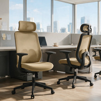 Silla de Oficina Ergonómica Moderna de Malla con Respaldo Alto, Silla de Escritorio Económica para Oficina y Hogar
