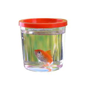 養魚場向け卸売透明小型プラスチック水槽 カスタムベタスポット 毎日水に浸す使用 - Product Image 6