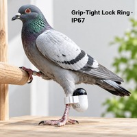 Bague de suivi GPS pour pigeons en gros avec stock disponible et emballage personnalisé pour les acheteurs de catalogues de distributeurs et les revendeurs
