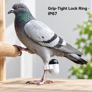Bague de patte GPS pour pigeon la plus légère au monde avec fermeture sans outil et boîtier IP67 pour les fanciers et les éleveurs - Product Image 4