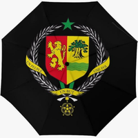 Parapluie entièrement automatique de haute qualité, imprimé du drapeau national de Sierra Leone, anti-UV à haute efficacité, style créatif