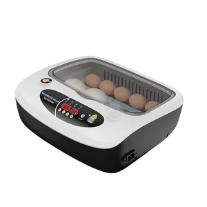 Mini incubateur automatique 15 œufs, europe et amérique, économie d'énergie, vente en gros