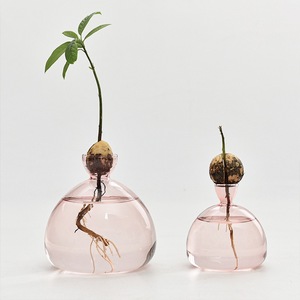 <span class=keywords><strong>Vase</strong></span> en verre hydroponique en forme d'<span class=keywords><strong>avocat</strong></span> japonais <span class=keywords><strong>Vase</strong></span> de plantation spécial pour graines Noyau de fruits Conteneur hydroponique <span class=keywords><strong>Vase</strong></span> coloré - Product Image 1