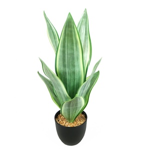 Venta al por Mayor <span class=keywords><strong>de</strong></span> Planta Artificial Mini <span class=keywords><strong>Sansevieria</strong></span> <span class=keywords><strong>de</strong></span> 9 Hojas y 38 cm <span class=keywords><strong>de</strong></span> Altura con Maceta <span class=keywords><strong>de</strong></span> Plástico - Product Image 4