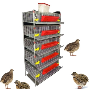 Jaula Elevada Tridimensional para Codornices y Perdices con Sistema Automático <span class=keywords><strong>de</strong></span> Alimentación, Bebederos y Limpieza <span class=keywords><strong>de</strong></span> Excrementos - Product Image 1