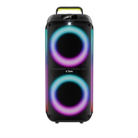 Enceinte karaoké portable sans fil CSN-FL8844 double 6,5/8 pouces avec woofer et lumière LED RGB boule disco pour extérieur