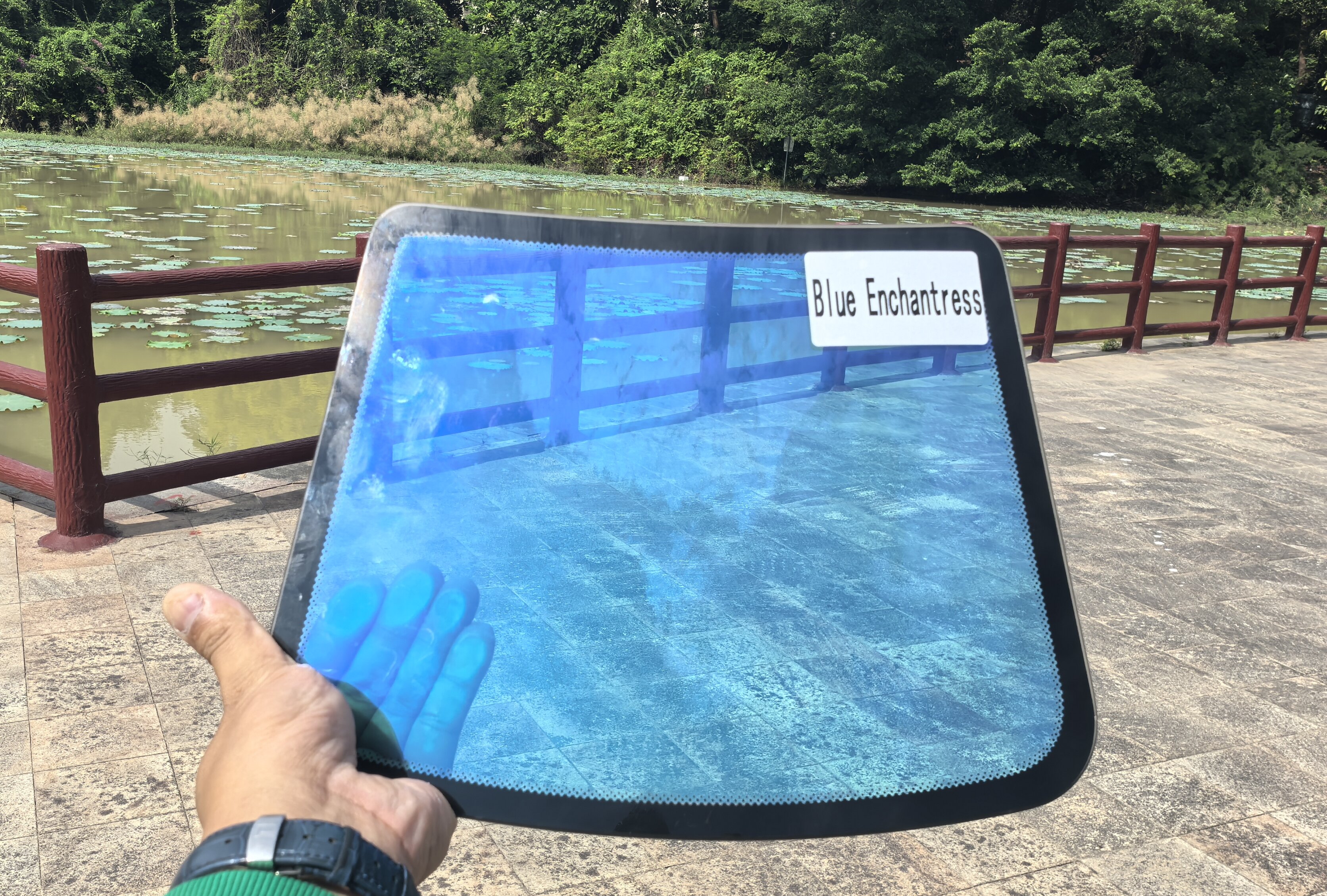 VLT_25%_IRR_99% Muestra