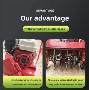 <span class=keywords><strong>A</strong></span>érateur de pelouse et de jardin, machine de forage horticole, <span class=keywords><strong>a</strong></span>érateur de pelouse perméable à l'eau à essence - Product Image 5