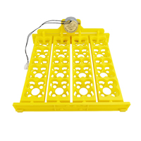 Mini testeur d'oeufs de poule Portable pour oeufs de caille de poulet 16-72 incubateur d'oeufs automatique 220v 110v 12v