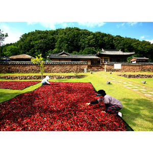 [Biggalchan 3kg] Spicy Aromatic Korean Condiment for BBQ Rub Versatile Usage Dry Rub Red Pepper Powder - Product Image 2