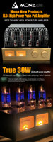 YoYoYang seratus tahun Amplifier audio 30w, penerima tabung elektronik HIFI nada lembut hangat untuk teater Rumah