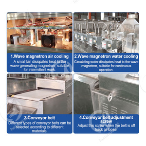 OCEAN Shrimp <b>Microwave</b> Conveyor Oven Insect Mealworm <b>Microwave</b> Tunnel Dryer Machine <b>Microwave</b> Dryer / Mesh Belt Dryer / Microwav - Product Image 4
